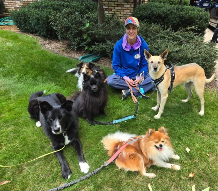 Olive, Archie, Lily, Jasper, & Tennessee